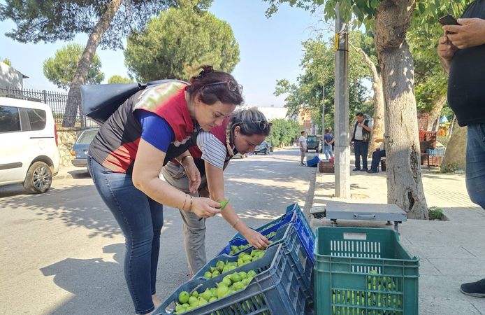 Tire'de ilek satıcılarına sıkı denetim
