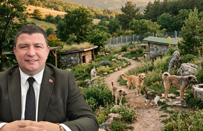 Sokak Hayvanları için müjdeli haber