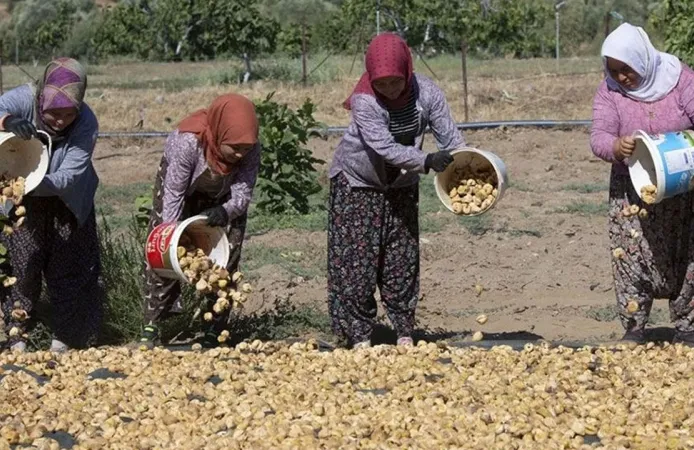 33 güne 110 bin lira alacaklar