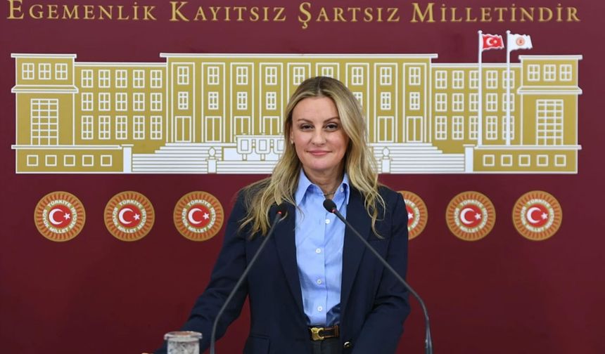 Tire – Belevi “Ölüm Yolu”nu meclise taşıdı