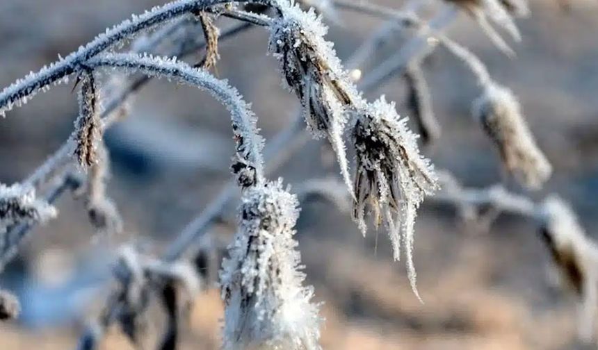 Meteoroloji’den zirai don uyarısı