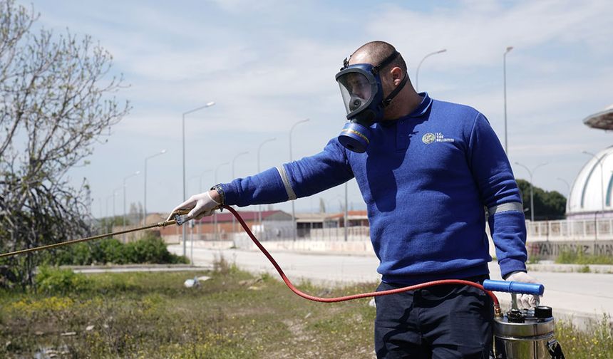 Tire’de sivrisineklere karşı mücadele başladı
