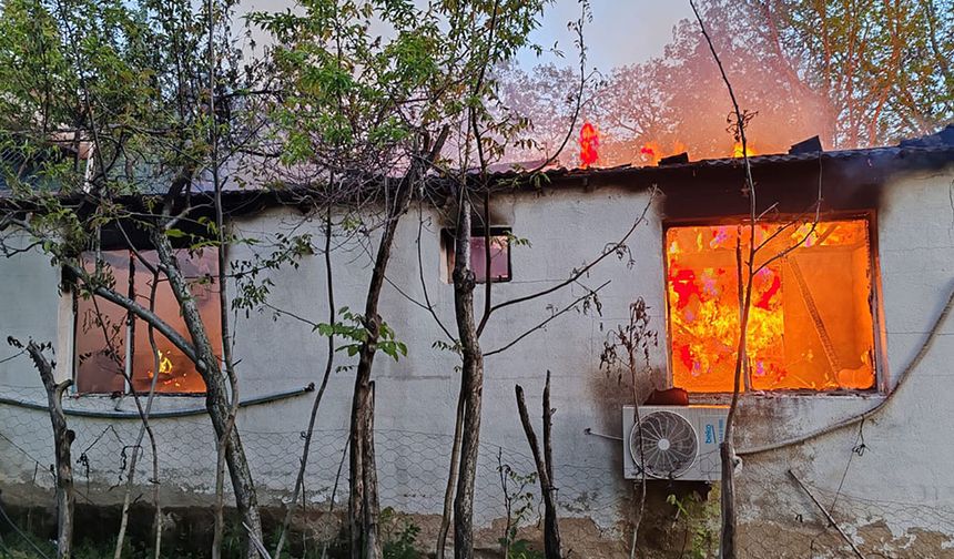 Kardeşleri ölüm bile ayırmadı