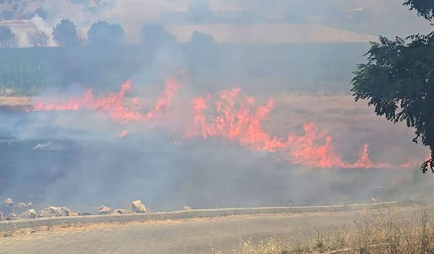 Tire’de yangın: Alevler evleri sardı