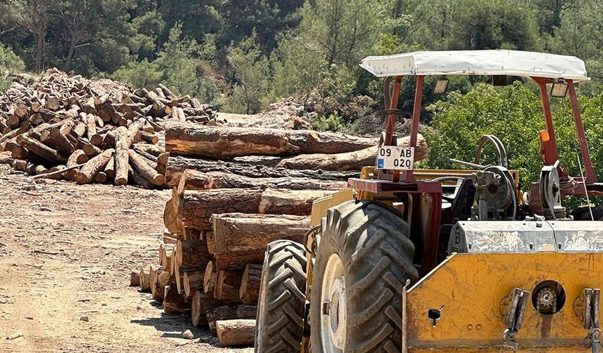 Kartal Dağı’nda ağaç kıyımı: 2000 ağaç kesilecek