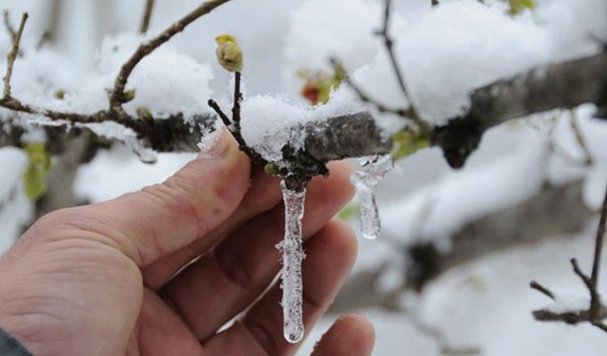 Tire için zirai don uyarısı