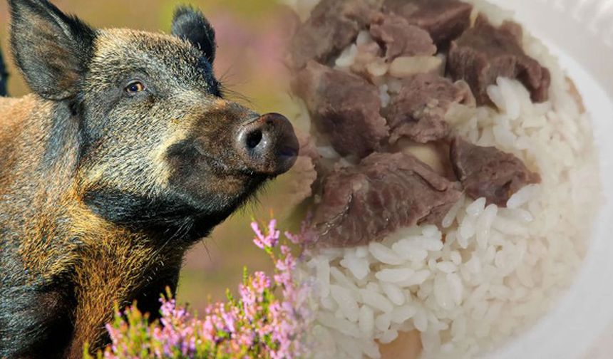 Babasının hayrına 500 kilo domuz eti yedirdi