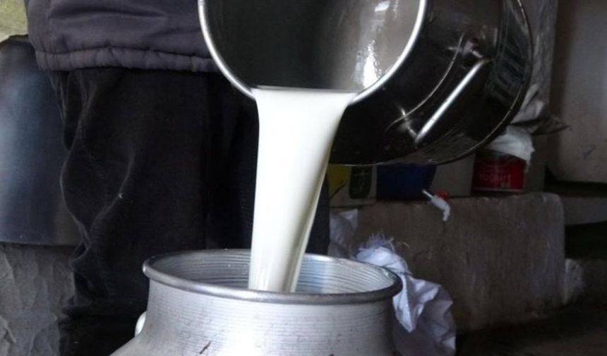 USK, çiğ süt tavsiye fiyatını üreticinin eline 22,22 lira geçecek şekilde belirledi