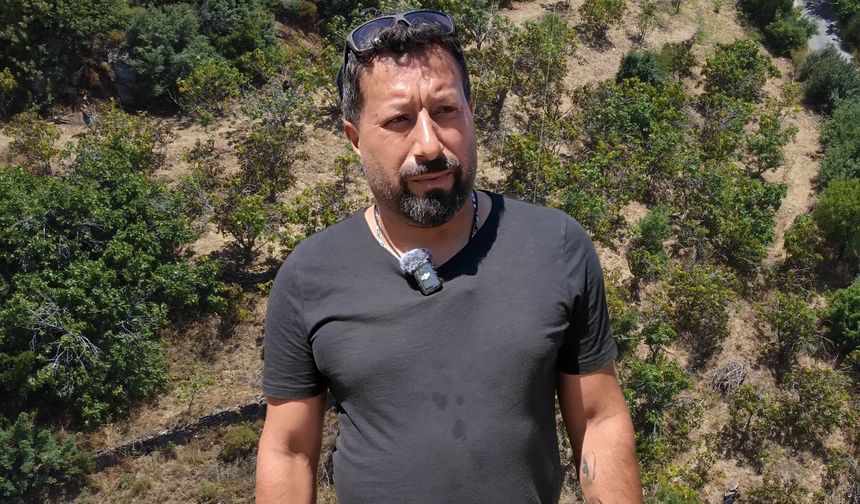 İncir bahçesine saldırıda yeni gelişme: Kardeşini suçladı