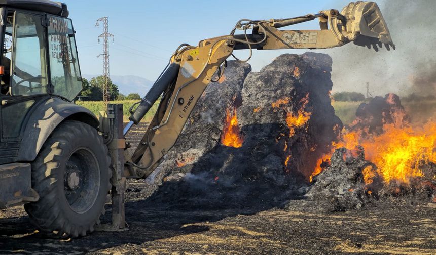 Elektrik akıma kapılan kuş yangına sebep oldu