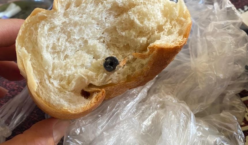 Ekmeğin içinden vida çıktı, Zabıta işlem yaptı