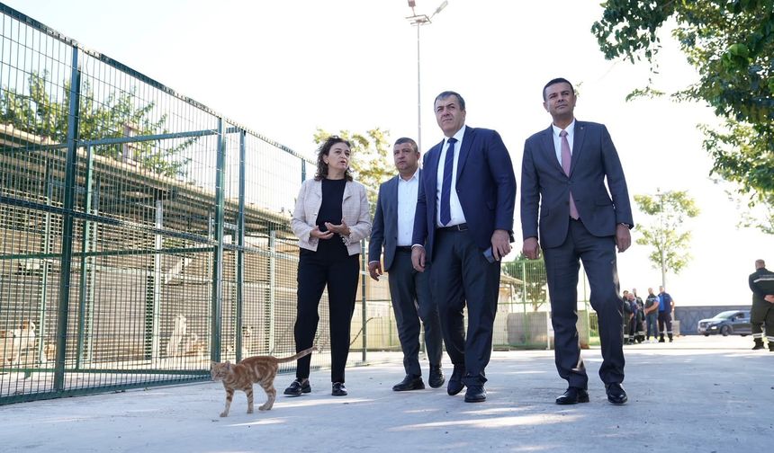Kaymakam Yakuta ve Başkan Okuroğlu, hayvan bakım evini ziyaret etti