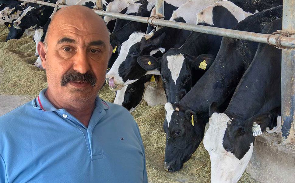 Halil Kalbak: iftiralarla ticaretime ve itibarıma saldırıyorlar
