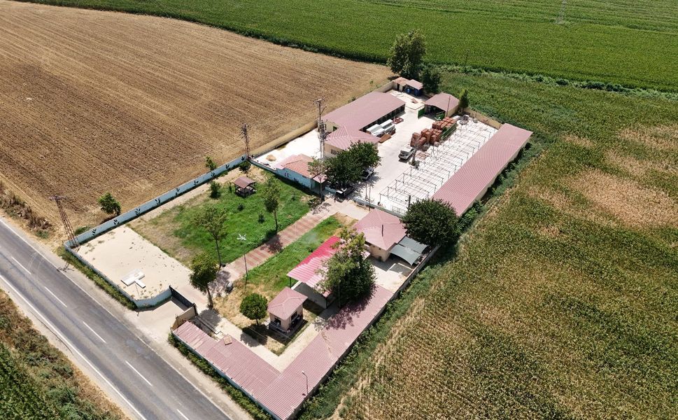 Tire Belediyesi hayvan bakımevinde kapasite artırılıyor