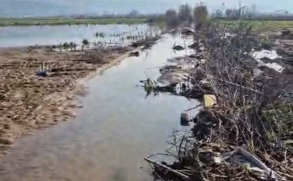 Kızılcahavlu’da üretici mağdur: tarlalar sular altında