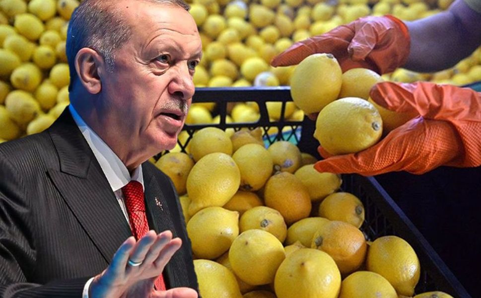 Erdoğan el attı! Limon ithalatında yeni karar