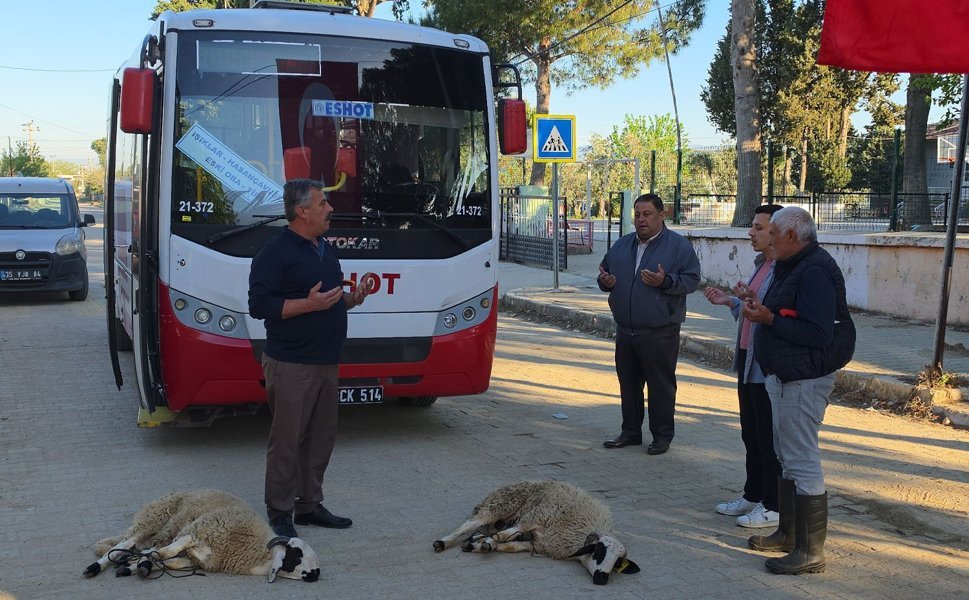 Köye giren ilk ESHOT aracı önünde kurban kestiler