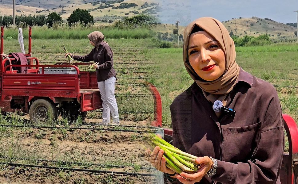 Tire’den Dünyaya Uzanan Başarı Hikayesi: Kadın Çiftçi Kuşkonmaz Üretimiyle Ezber Bozdu