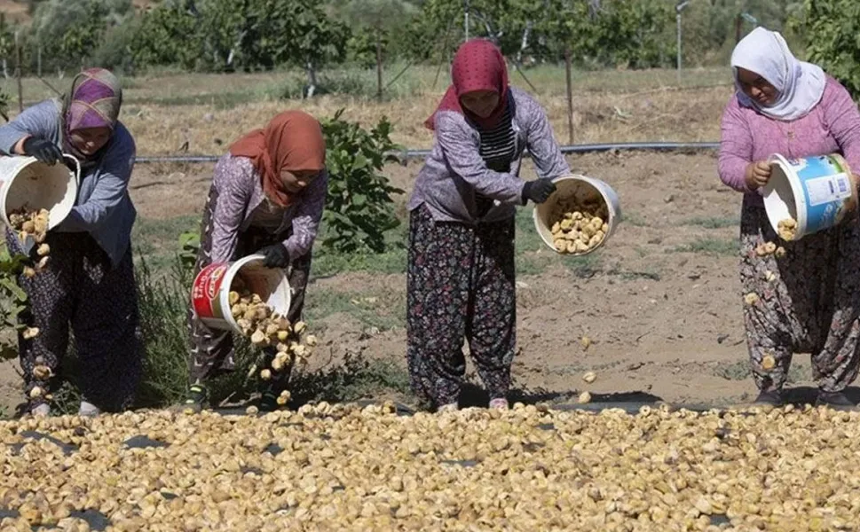 33 güne 110 bin lira alacaklar