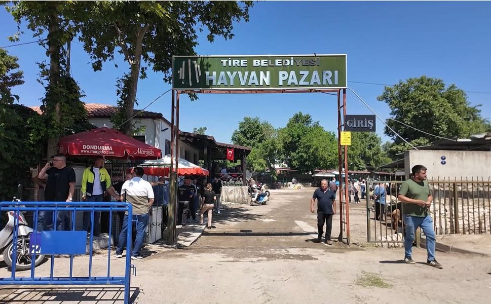 Tire Hayvan Pazarı, şap hastalığı sebebiyle yeniden kapatıldı