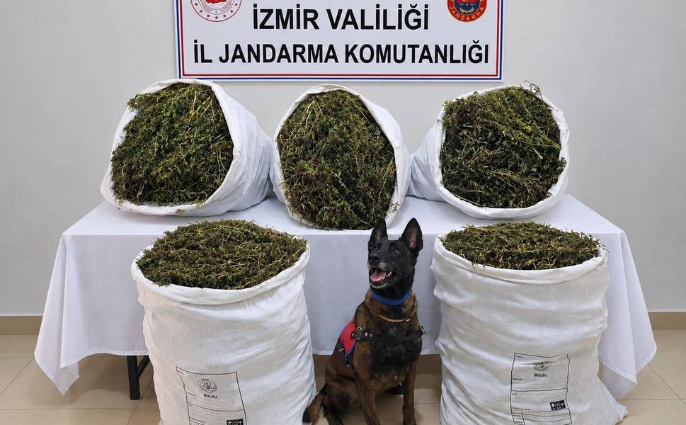 Tire’de 55 kilo esrar ele geçirildi: 3 kişi tutuklandı