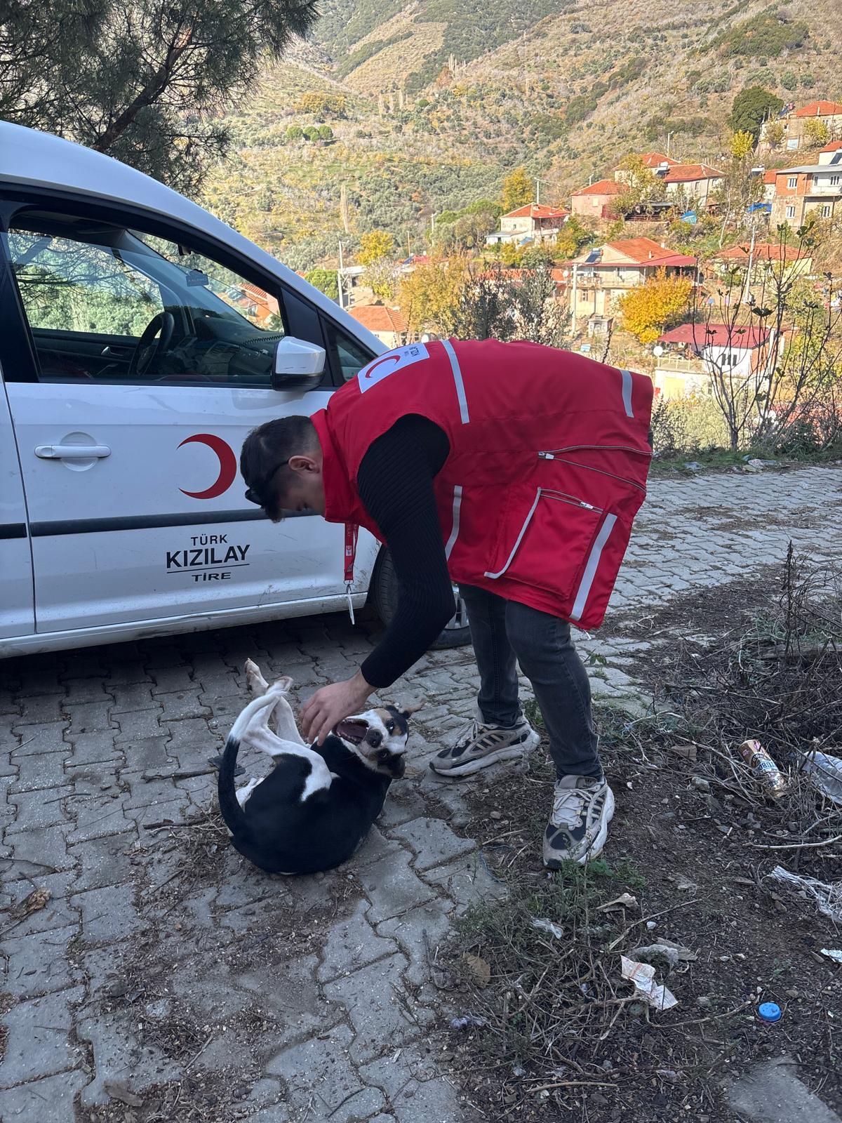 Whatsapp Image 2025 12 11 At 13.51.10 (6)