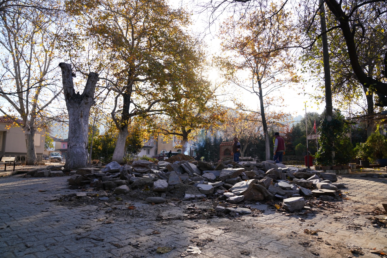 Whatsapp Image 2025 12 19 At 16.30.52 (1)