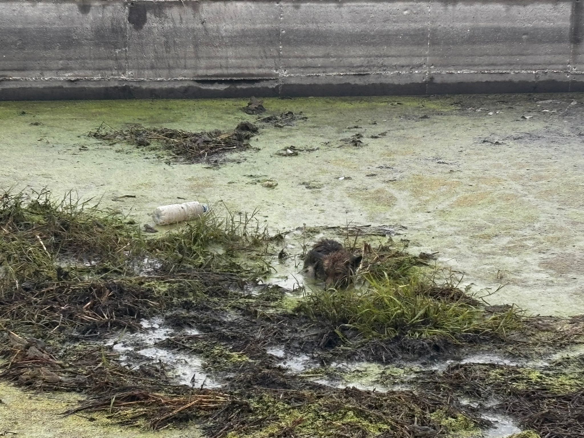 Whatsapp Image 2025 12 22 At 17.49.59