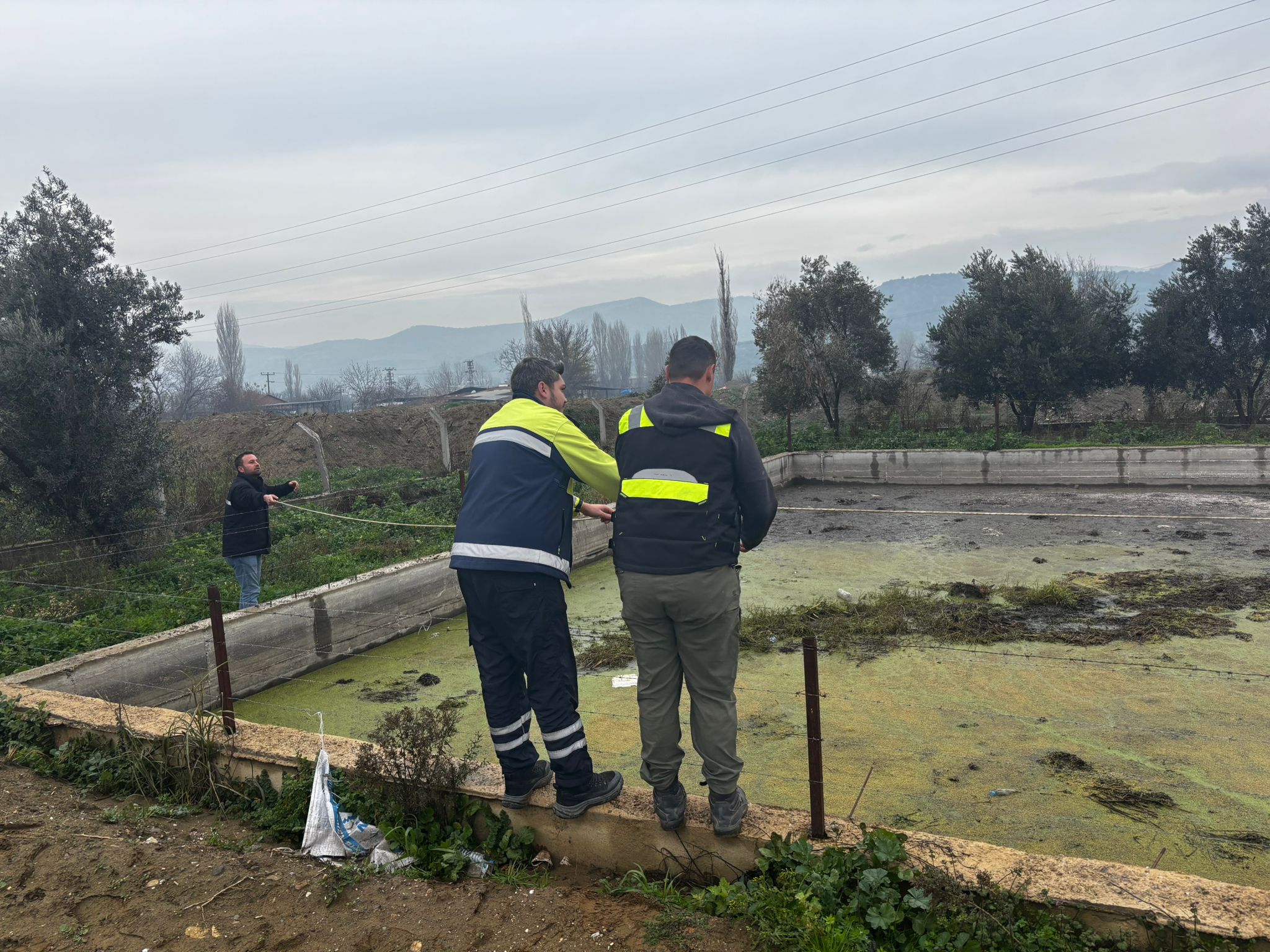 Whatsapp Image 2025 12 22 At 17.50.16