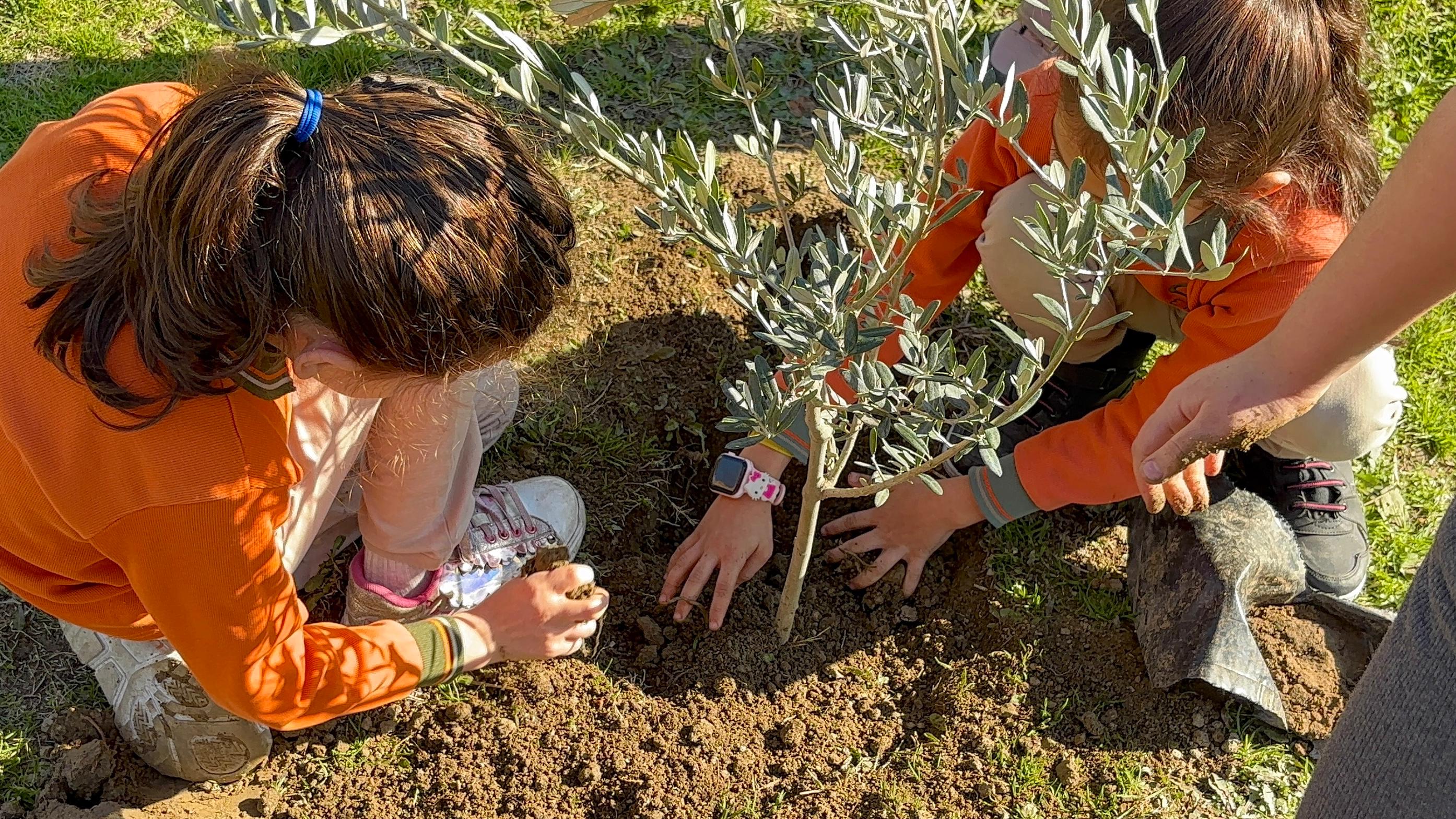 Whatsapp Image 2026 01 15 At 18.01.55 (1)