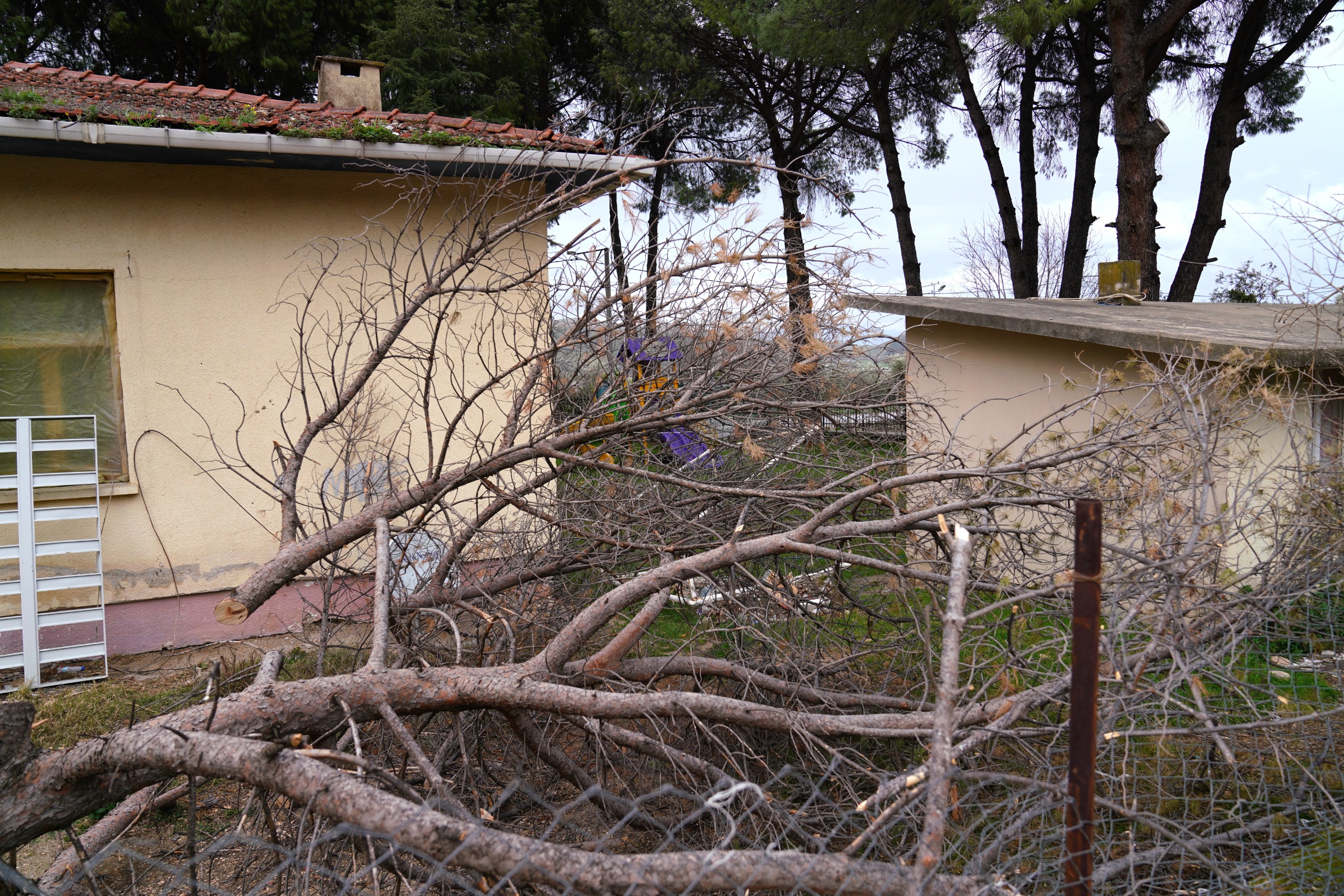 Whatsapp Image 2026 01 29 At 17.38.38 (1)