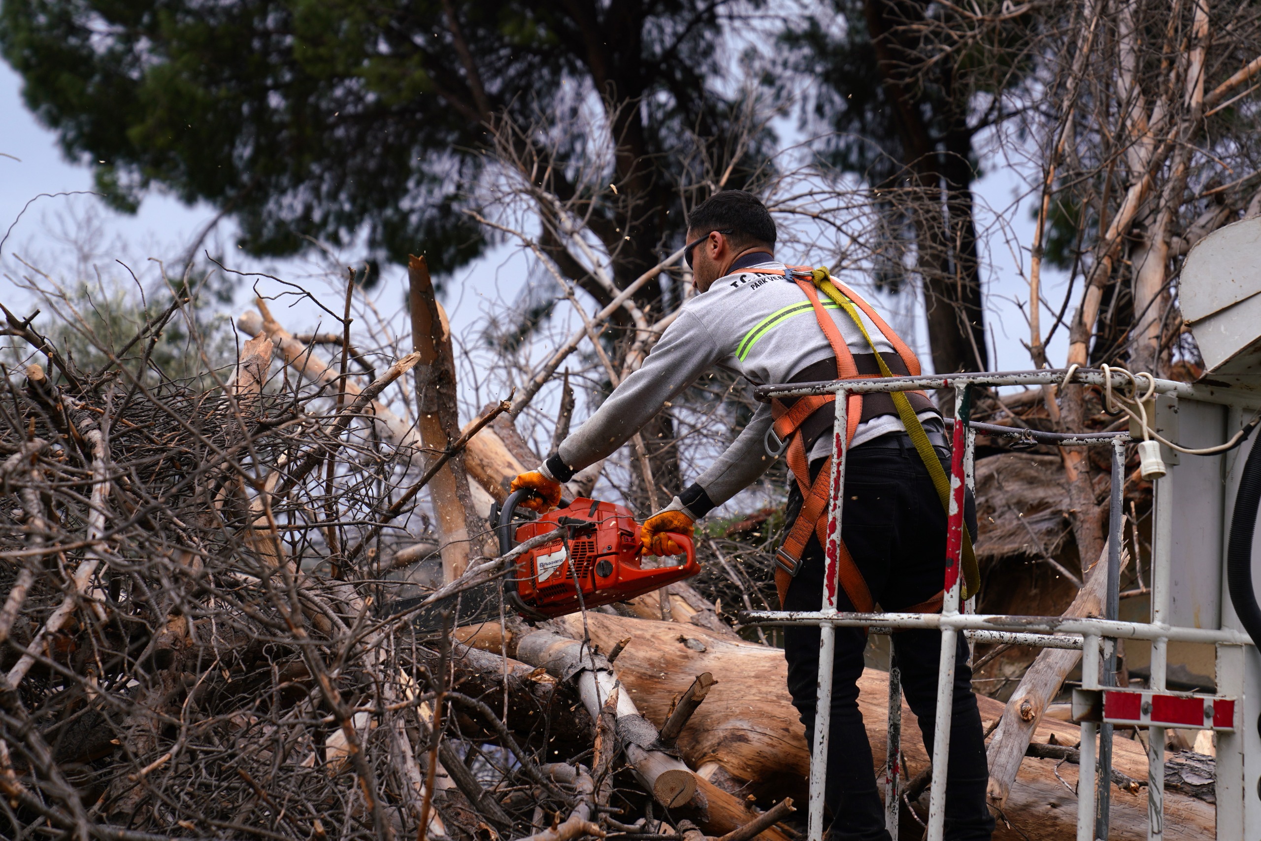 Whatsapp Image 2026 01 29 At 17.38.38 (2)