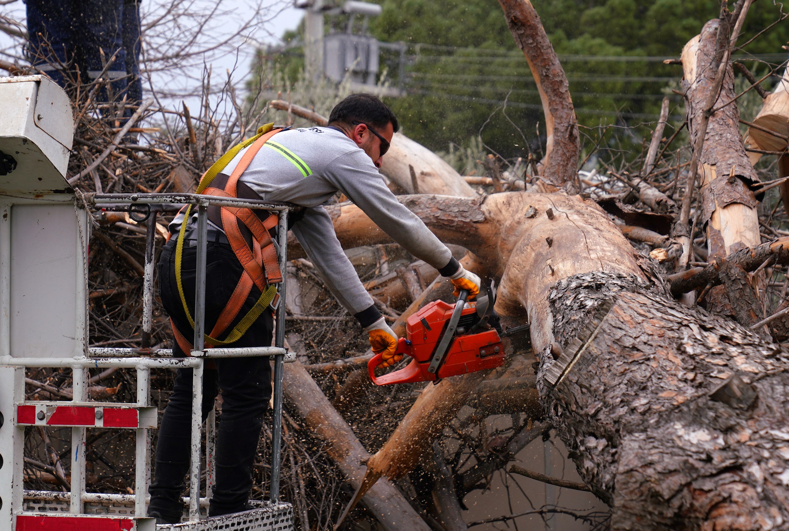 Whatsapp Image 2026 01 29 At 17.38.39 (2)