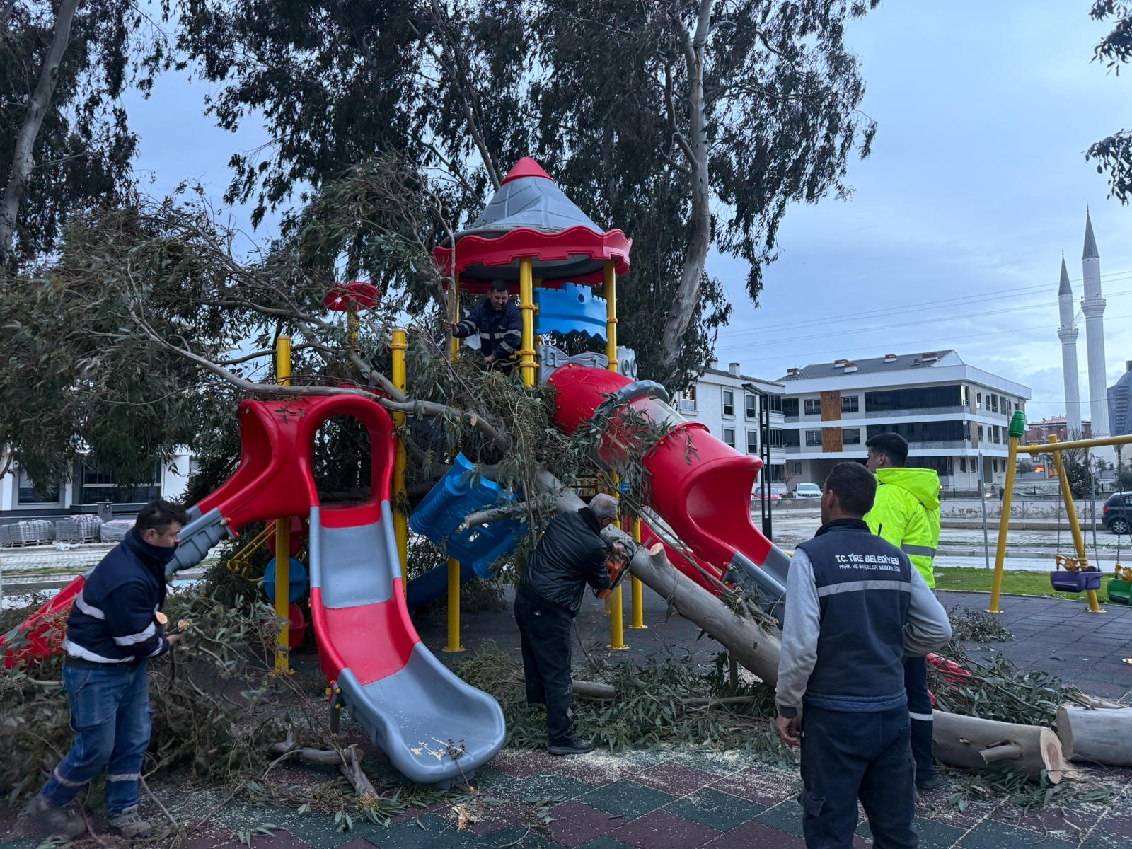 Whatsapp Image 2026 01 29 At 18.32.17 (1)