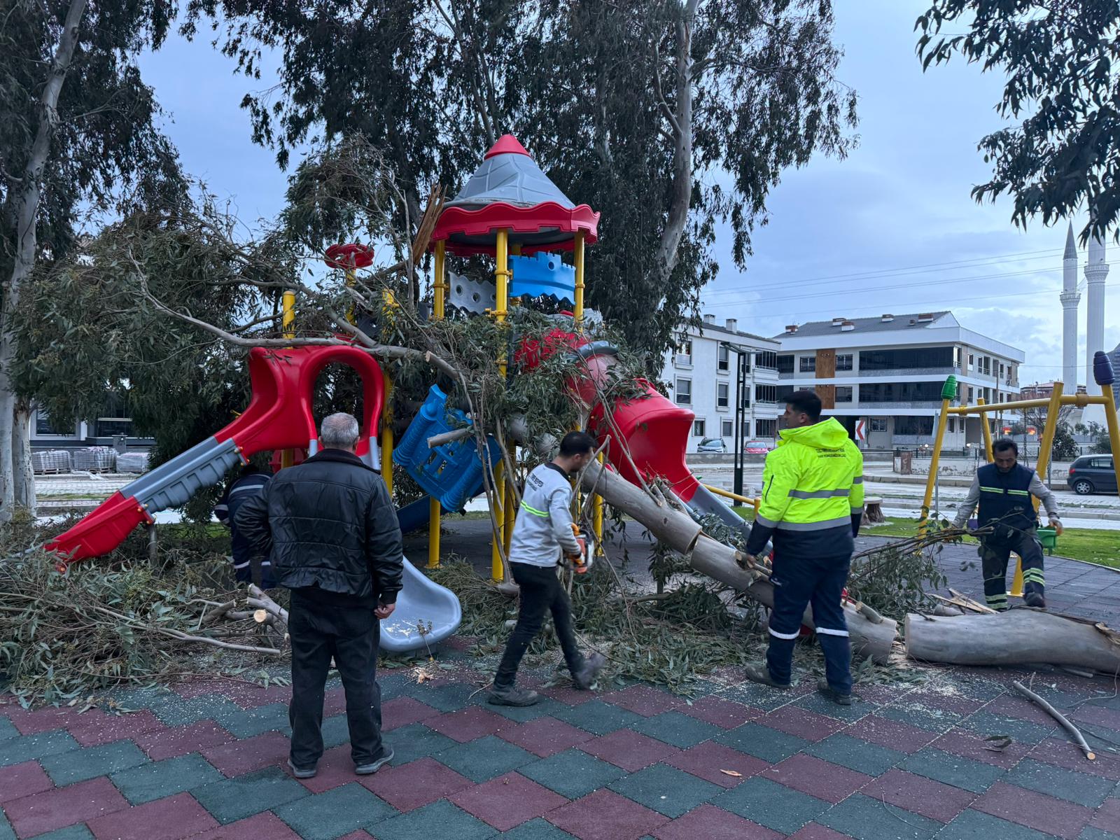 Whatsapp Image 2026 01 29 At 18.32.17