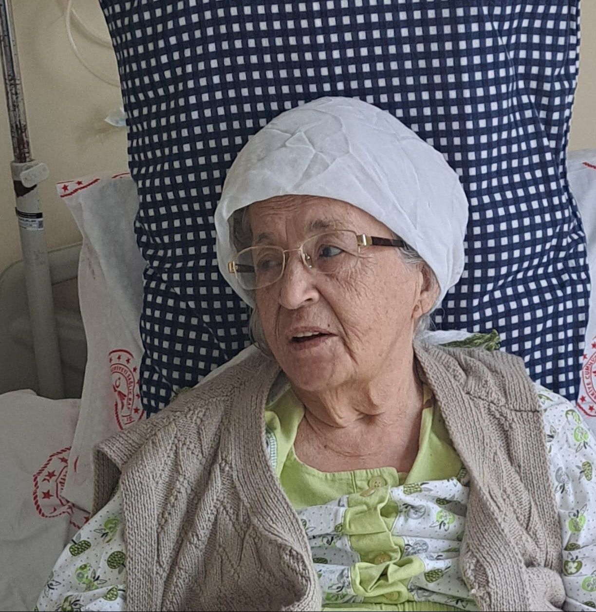 Vesile Aynur Arıkan