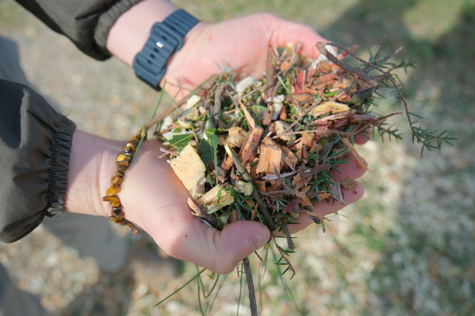 Whatsapp Image 2026 02 04 At 16.32.43