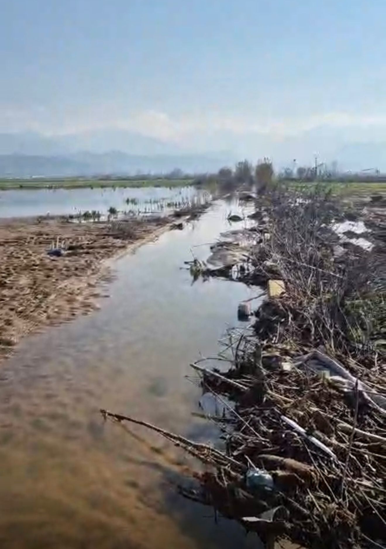 Whatsapp Image 2026 02 24 At 11.38.38