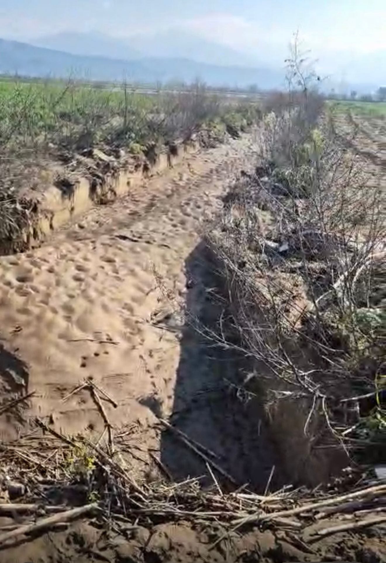 Whatsapp Image 2026 02 24 At 11.38.39