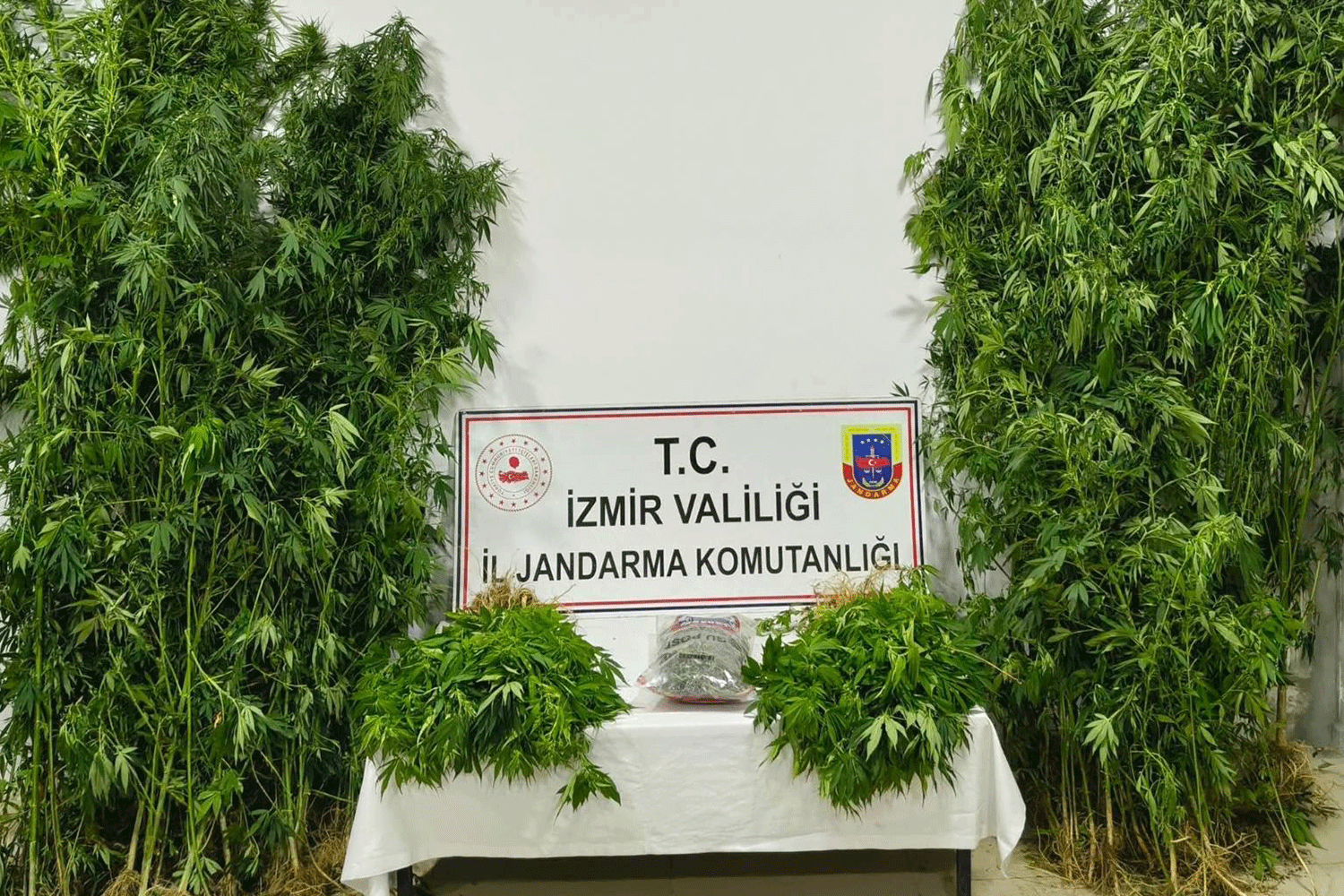 Jandarma’dan uyuşturucu operasyonu