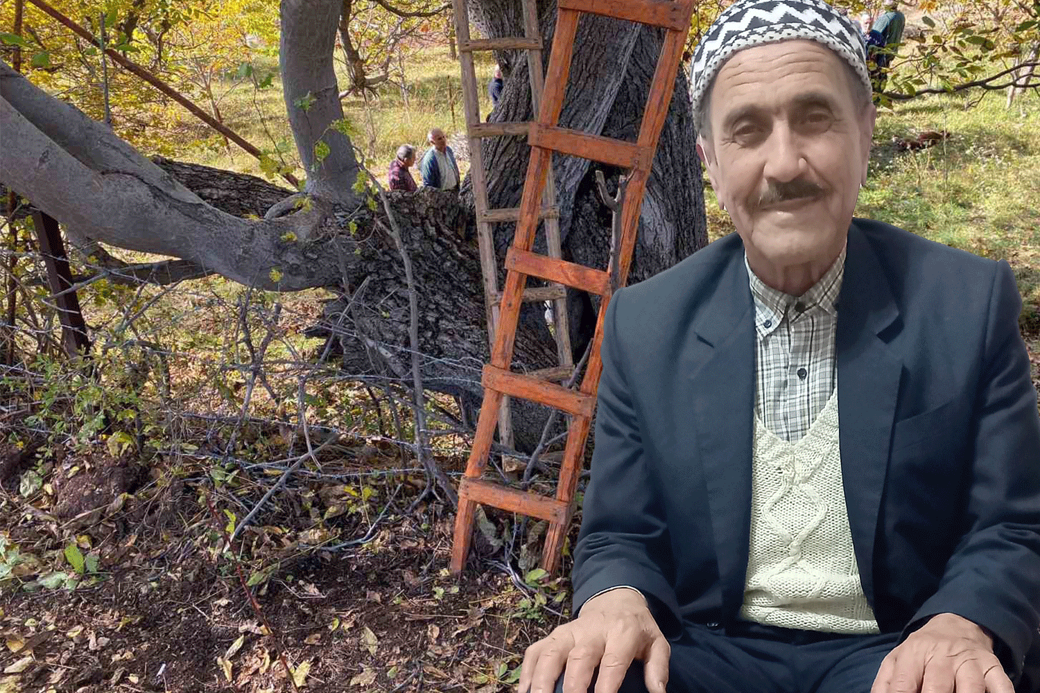 Ceviz ağacından düştü, hayatını kaybetti
