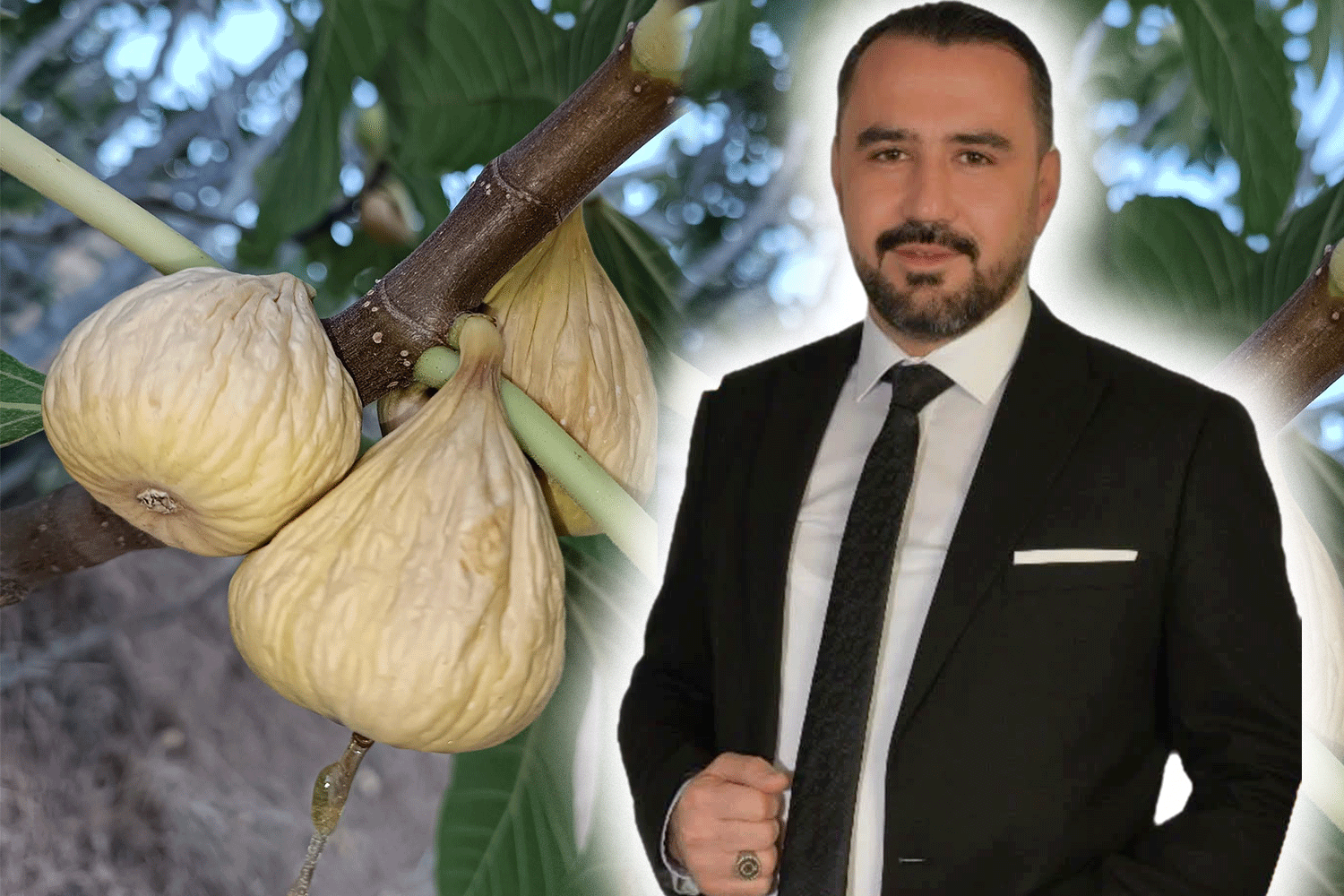 Eski AK Partili Başkan’dan incir gündemine tepki!