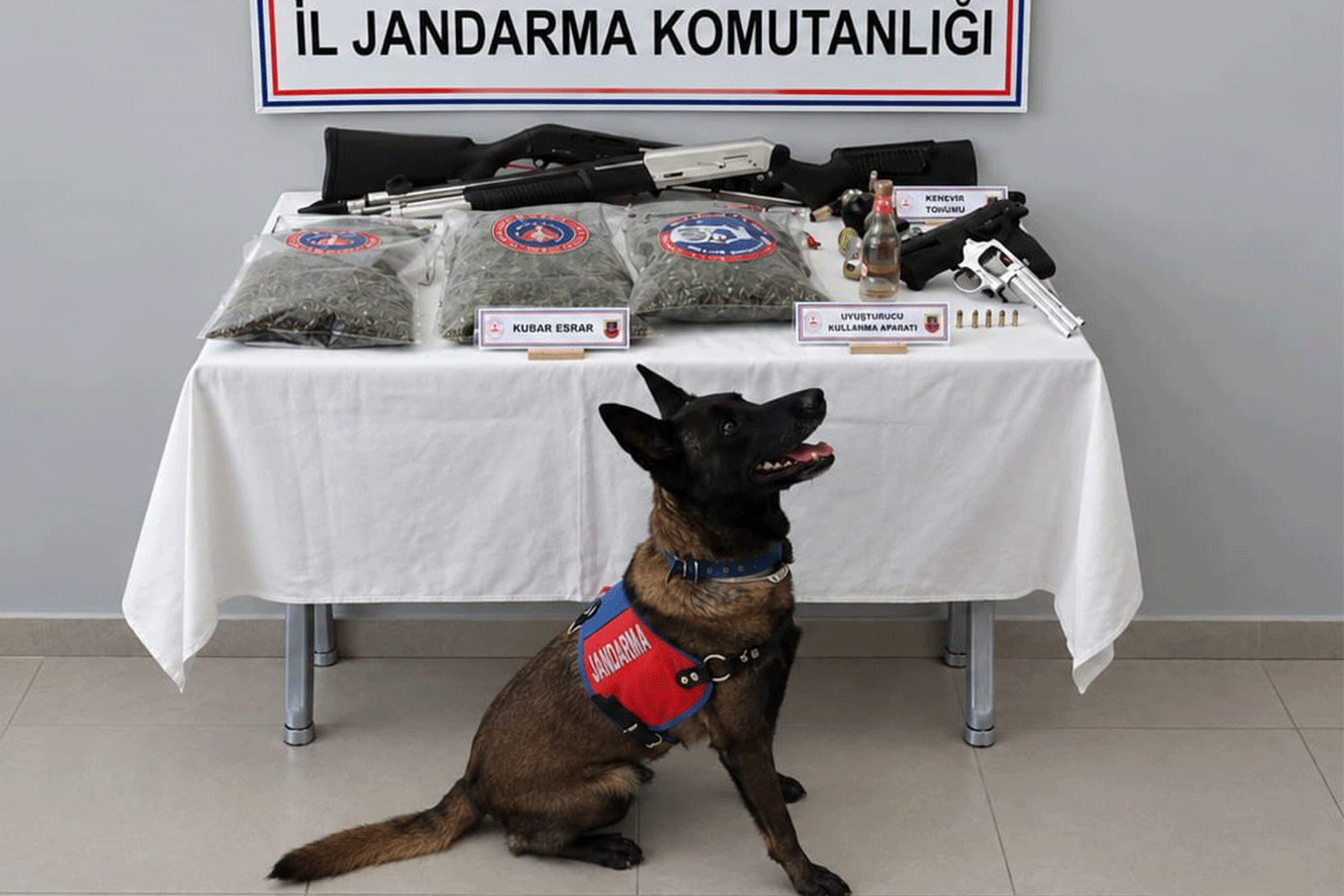 Jandarmadan uy*şturucu operasyonu: 10 gözaltı