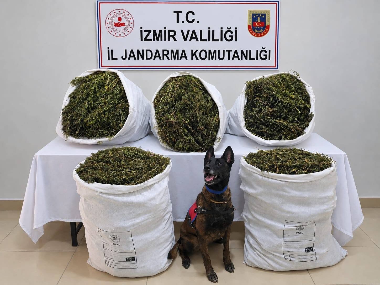 Tire’de 55 kilo esrar ele geçirildi: 3 kişi tutuklandı
